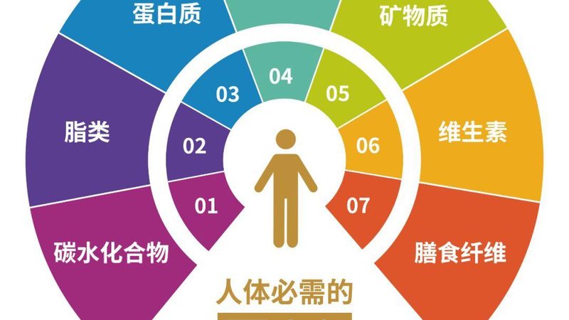 氨糖软骨素：揭秘十大品牌背后的科学奥秘